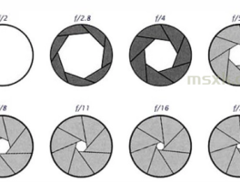 数码相机光圈、快门解释及应用