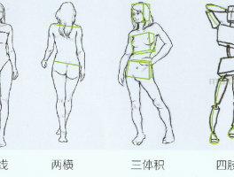 以 “一竖二横三体积四肢” ，理解人物动态速写