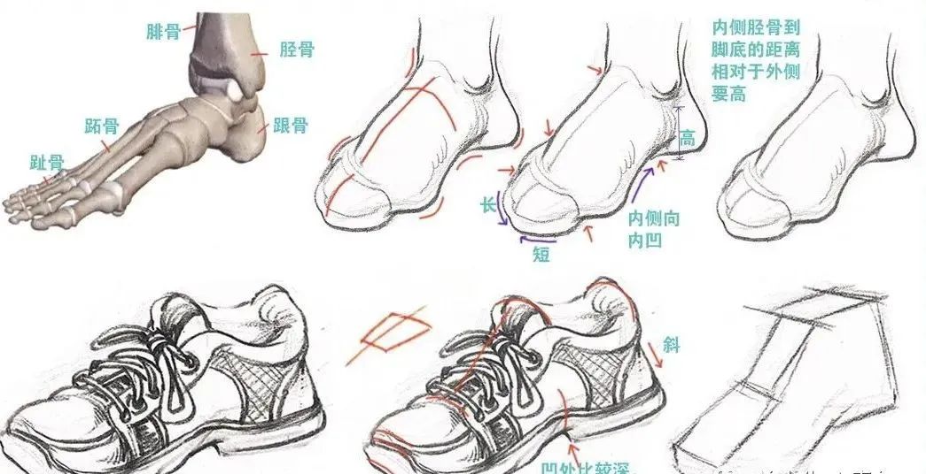 如何通过鞋子的速写练习提升脚部绘画技巧？